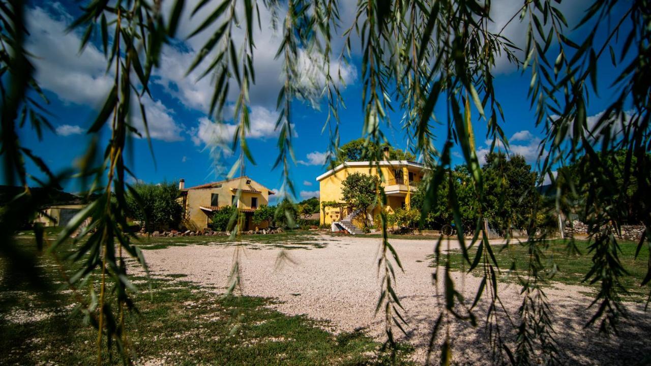 Agriturismo Carrucana Martis Kültér fotó